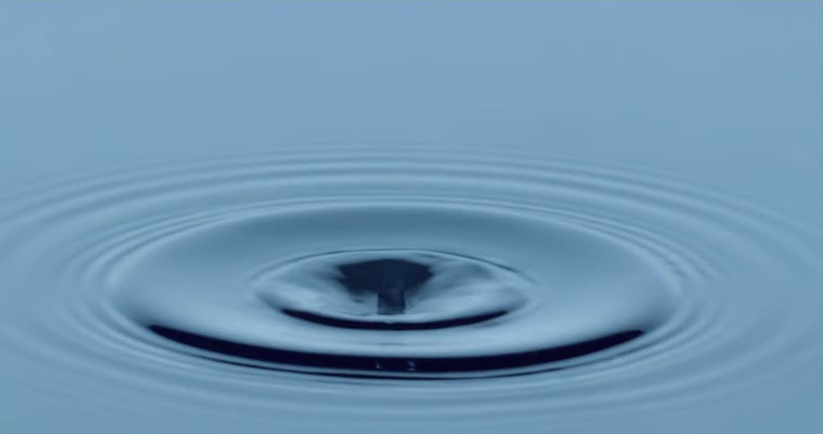 A drop falls and causes a ripple in the water