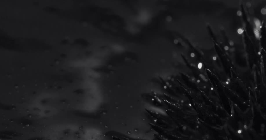 A paintbrush covered in black paint is highly magnified as it brushes over a flat surface