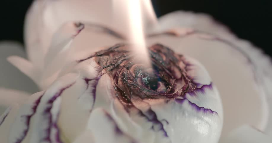 The flower is burning up