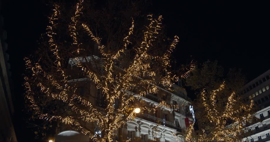 The tinsel lights on the trees are twinkling in front of the large house