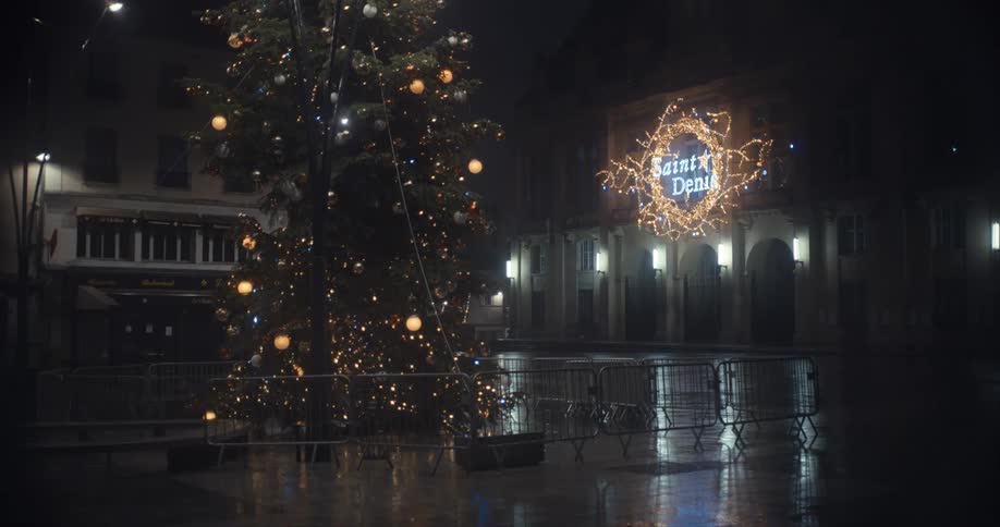 Lights on a christmas tree in the city street at night