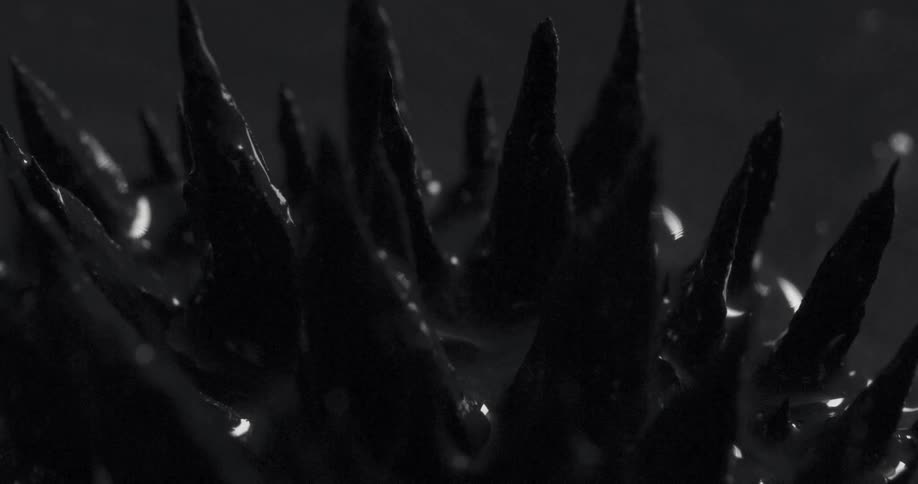 Black spikes emerging from under dark viscous liquid