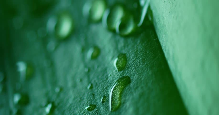 Waterdrops on a green surface at midday
