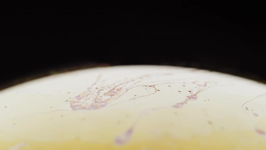 Abstract yellow sphere turning around