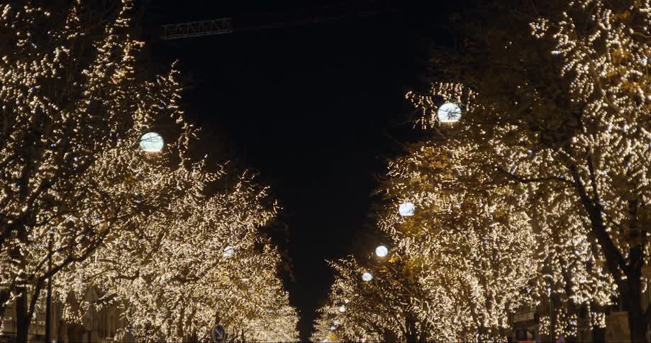 The night sky is seen from a city path lined by lit up trees and lamps