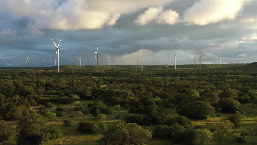 Windmills cover the horizon