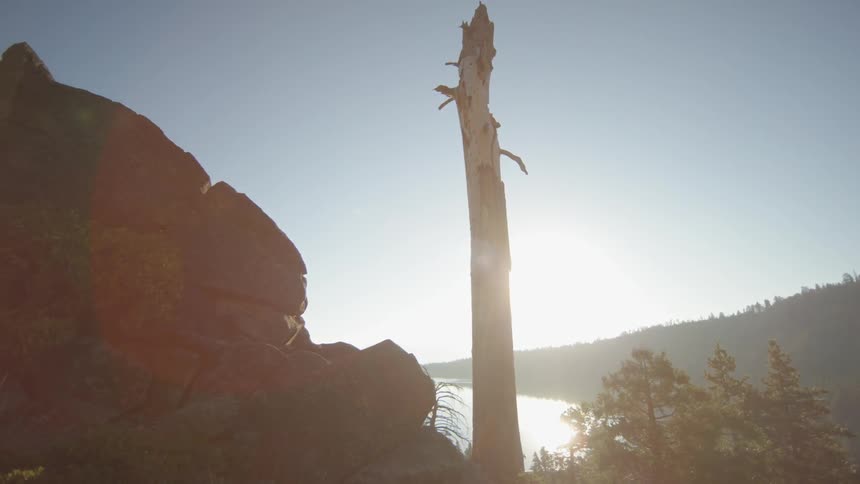 A tree trunk with no branches is on this hill