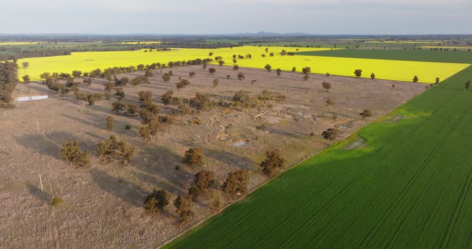 Aerial of a grassy field with green and yellow colors