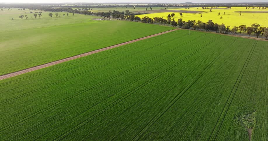 Aerial view of an agricultural area