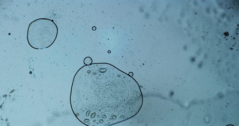 The bubbles float around in the water