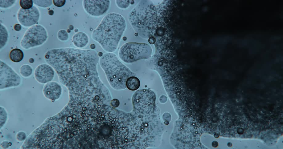 Extreme closeup of abstract microorganisms in motion