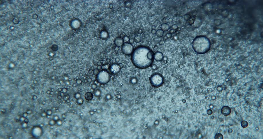 Bubbles of varying sizes in light blue liquid