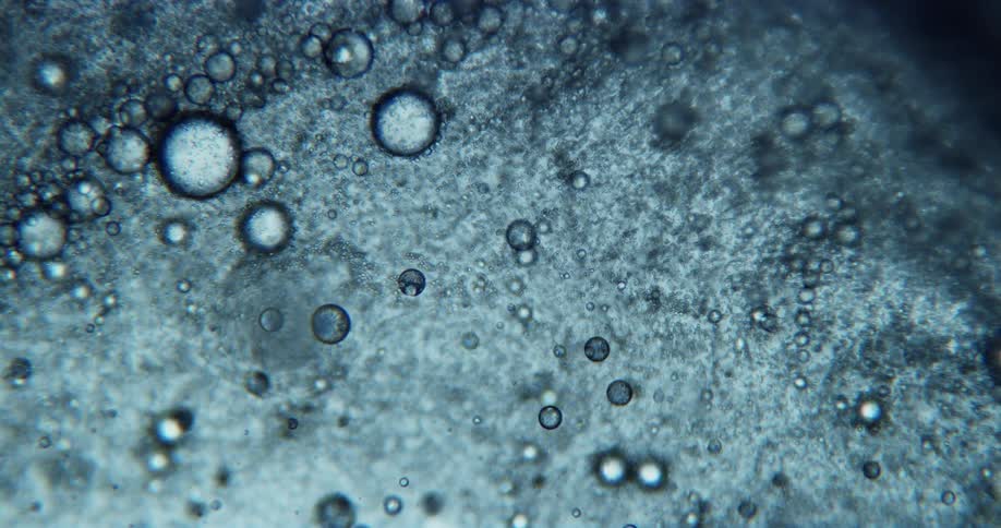 Light blue bubbles on a liquid surface