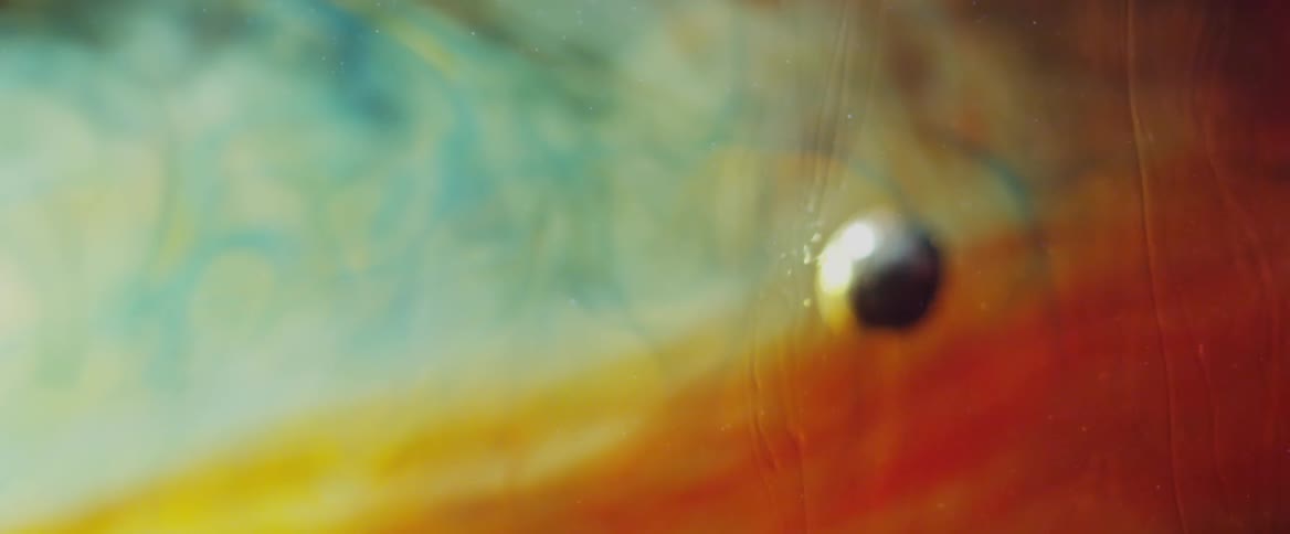 Colorful paints on a canvas moving slowly across it as a droplet moves upward