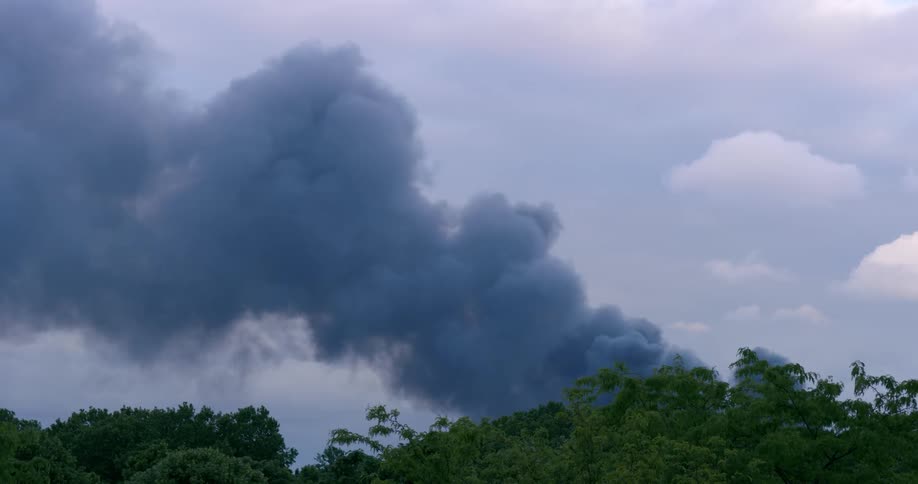 A grey plume of smoke fills the sky behind a row of trees