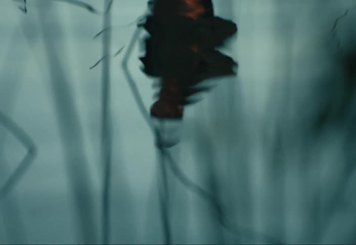 A woman's reflection is seen on a lake
