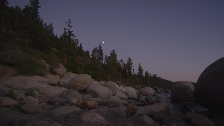 Rocks line the bottom of this hill covered with trees at dawn