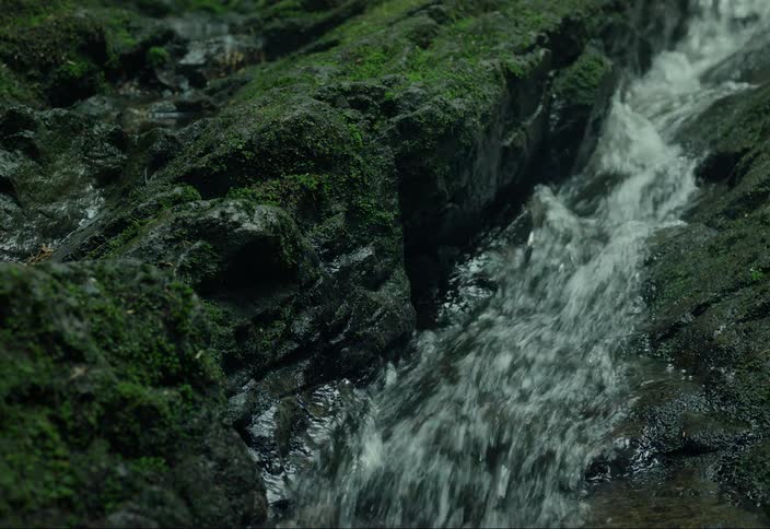 A stream flows gently through the mossy rocks