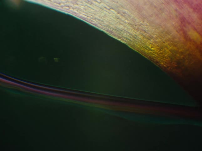 Part moves closer to body as particles in water flow past