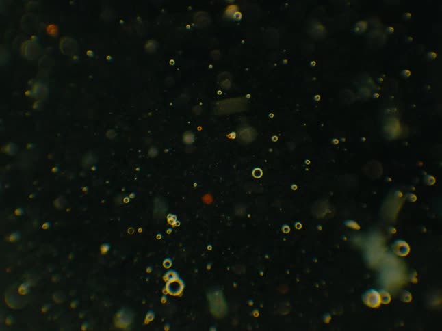 Microscopic particles floating on a liquid
