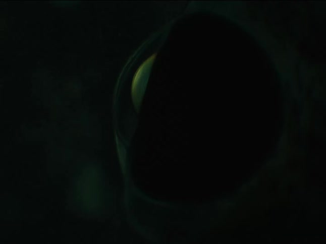 Abstract and round object with external organisms in motion