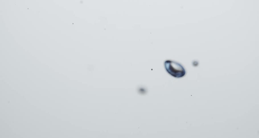 Abstract water bubbles rising