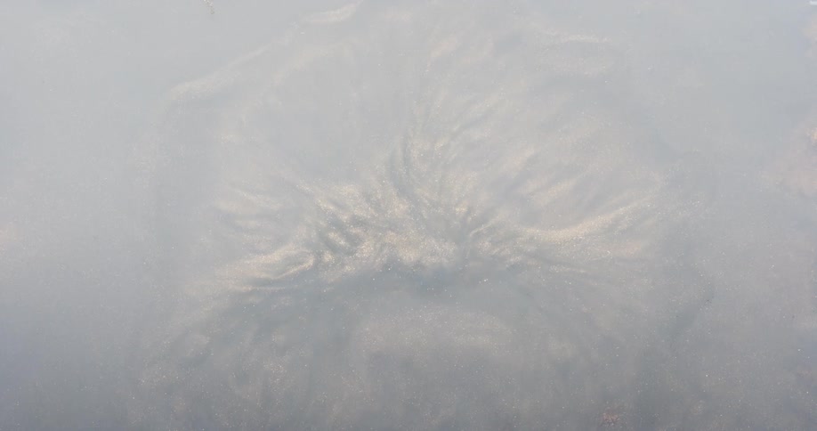 A black stick is used to touch a white paint to distort its stillness