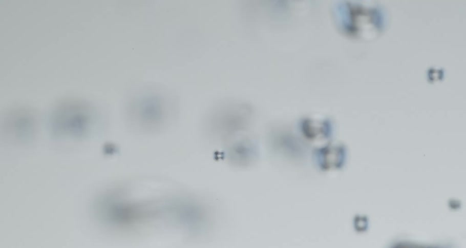 Abstract water bubbles rising
