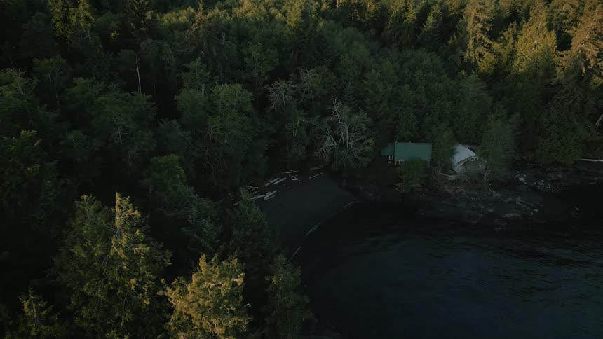 House nestles among conifer trees at edge of forest on shore