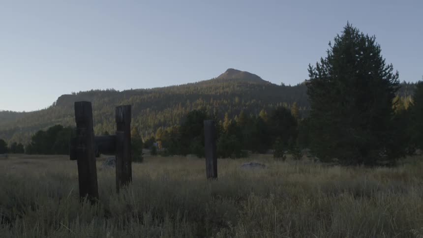 Wooden posts are in the grass