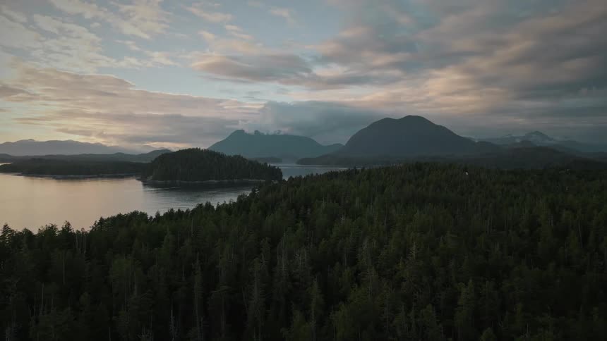 Aerial view of a coastal forest leading to a mountain range