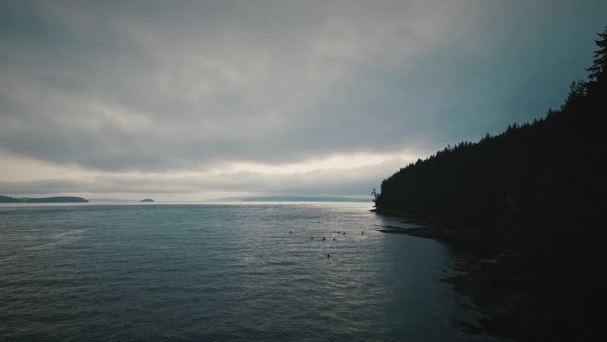 Landscape of an ocean with a coastal line of coniferous trees