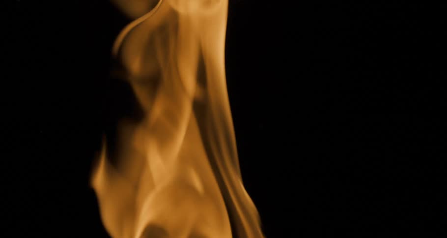 Fire flames in the dark night