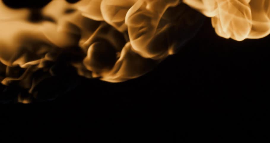 Bonfire flames in the dark night