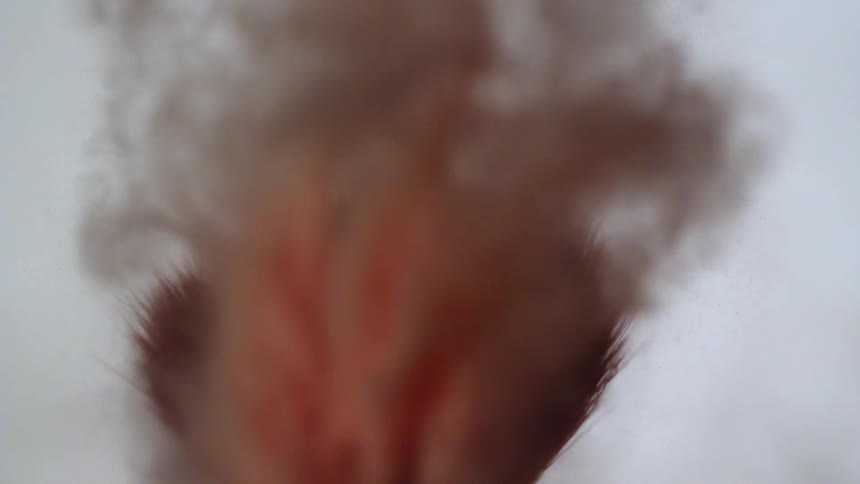 A fluffy make up brush flings red powder off of it