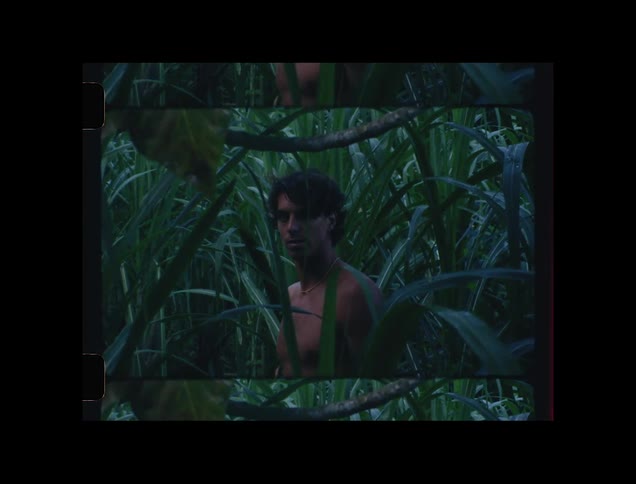 Shirtless young man surrounded by tropical vegetation