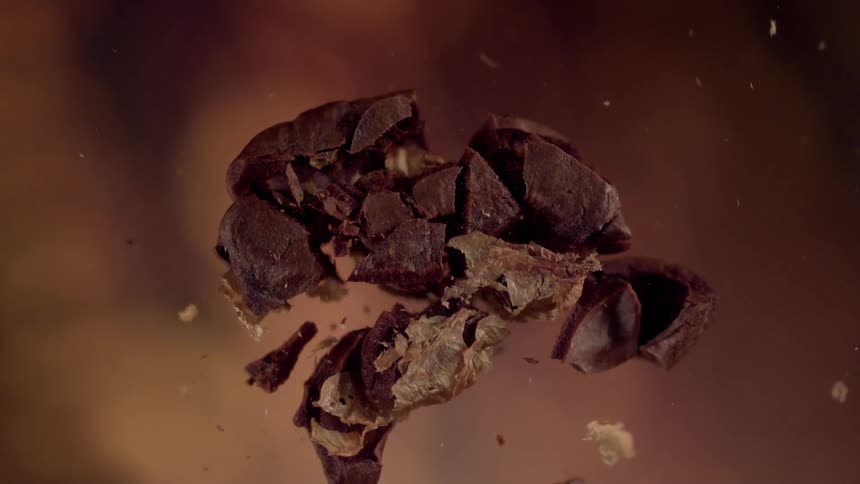 A brown coffee bean exploding from the inside out