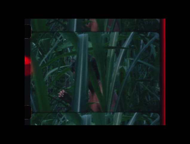 A shirtless man with a necklace walking among green plants