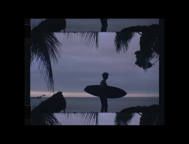 A man stands on the beach near palm trees holding his surf board as he looks around