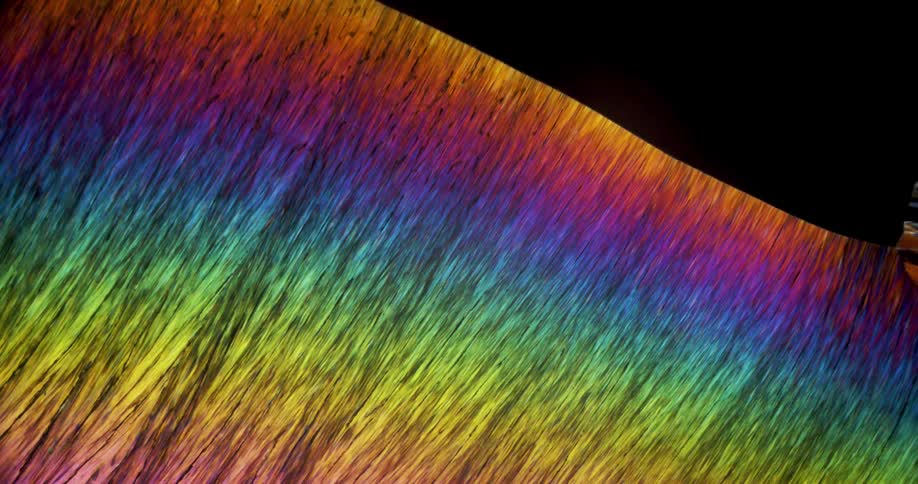 Erythritol microcrystals forming under microscope