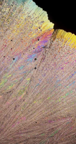 Microscopic view of colorful Erythritol crystals forming
