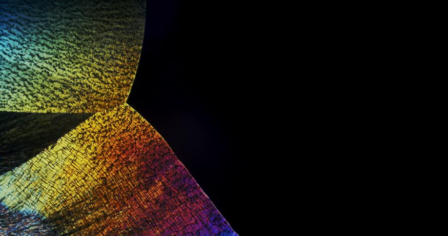Erythritol microcrystals forming under microscope