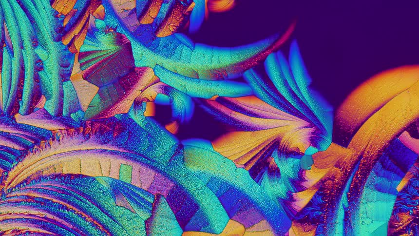 Growing crystals from salicylic acid under microscope
