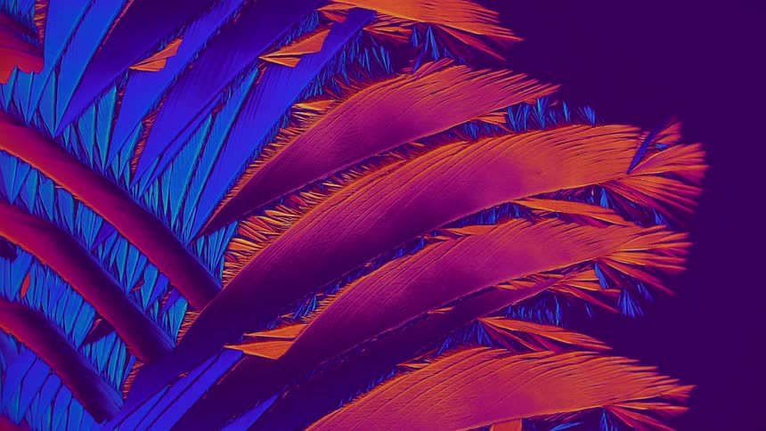 Expanding crystals from salicylic acid in micro view