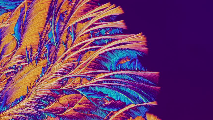Detailed microscopic natural abstract plant shapes on dark background