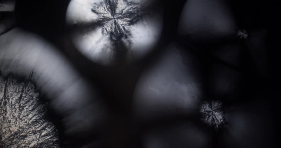 Microcrystals of menthol liquid under the microscope