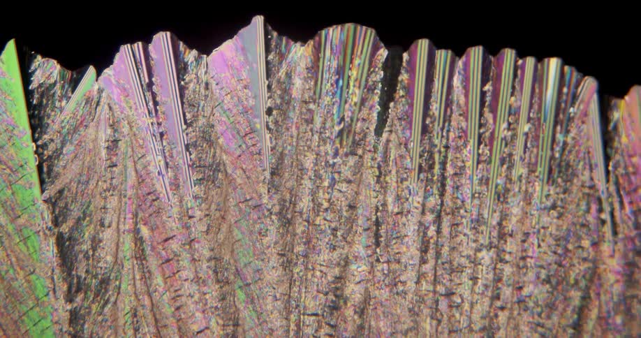 Erythritol microcrystals forming under microscope
