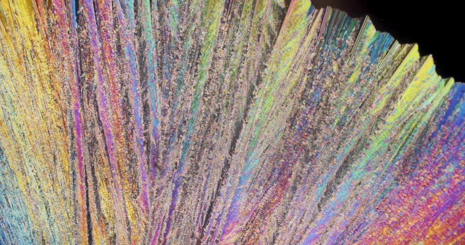 Erythritol microcrystals forming under microscope