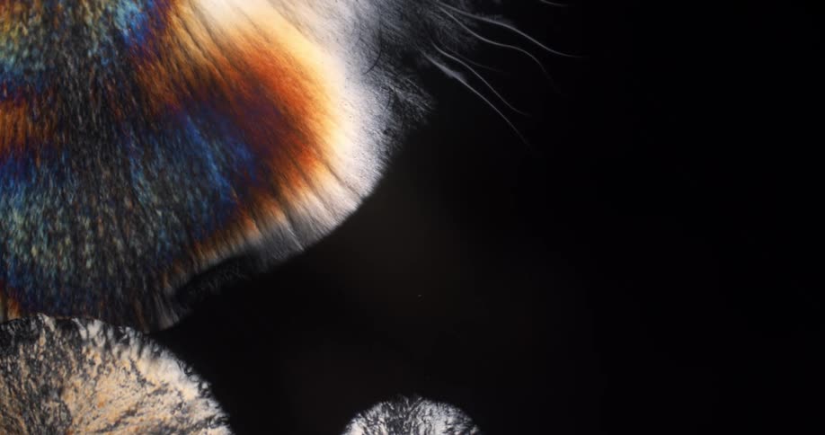 Abstract expanding crystals of chemical under the microscope