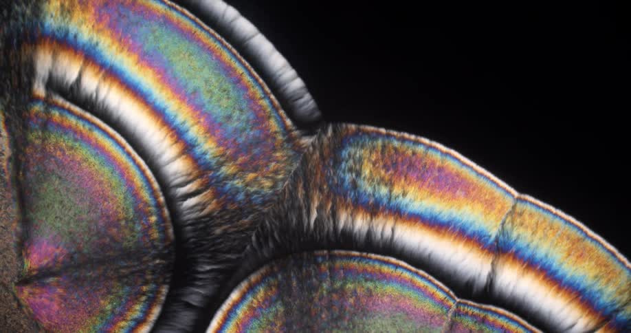 Growing crystals of menthol under the microscope